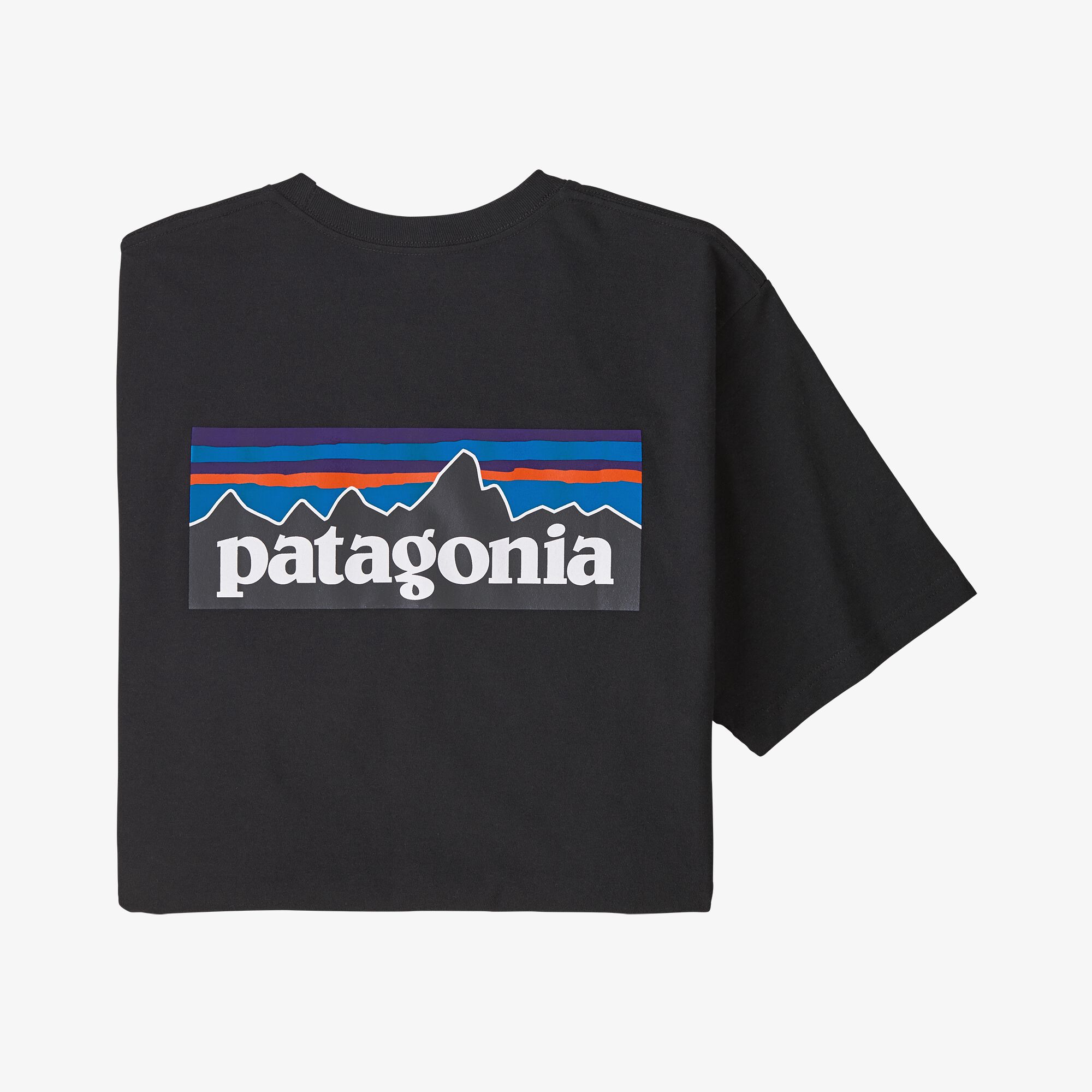 Patagonia Men's P-6 Logo Responsibili-Tee® – TW Outdoors