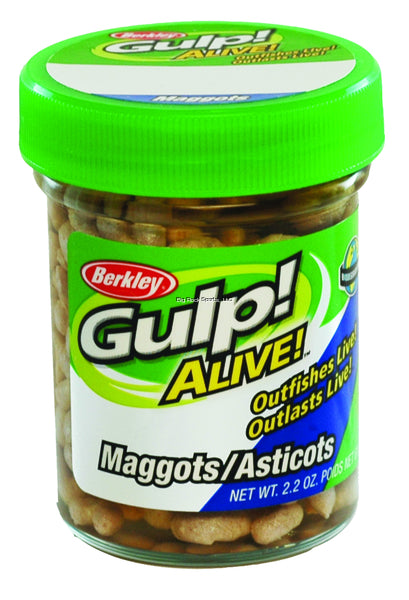 Berkley Gulp Maggots