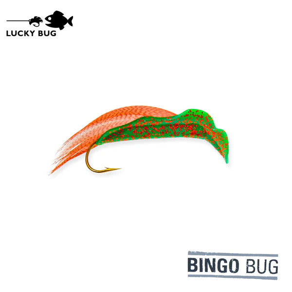 Lucky Bug Bingo Bug