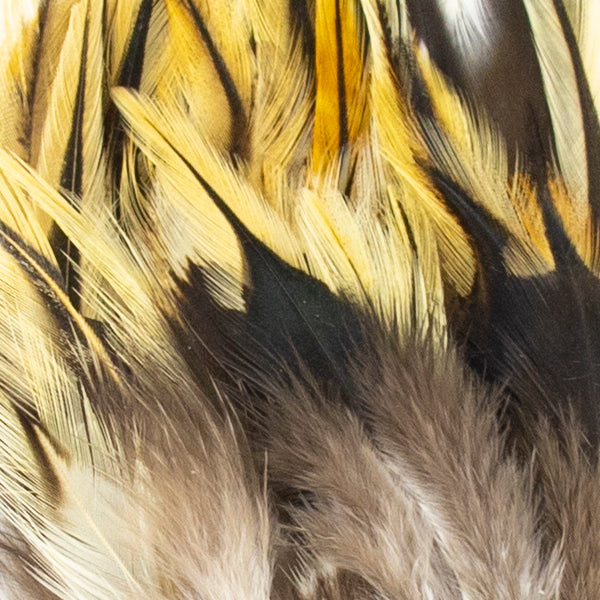 Shor Hackle 3"-5"