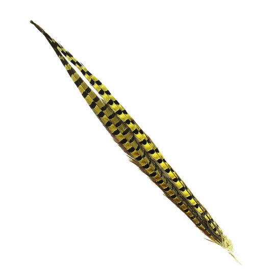 Shor Ring-Necked Pheasant Tail - 18-20in