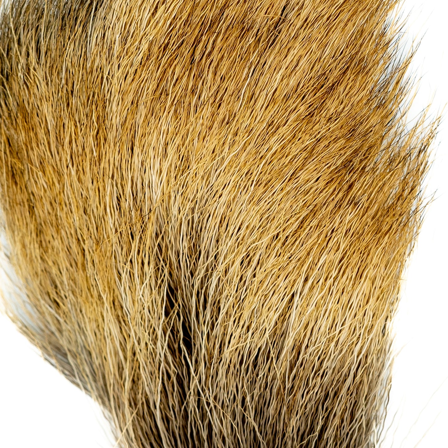 Shor Elk Body Hair  (Shipping in Canada Only)