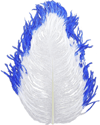 Load image into Gallery viewer, Spirit River Tip Dyed Ostrich
