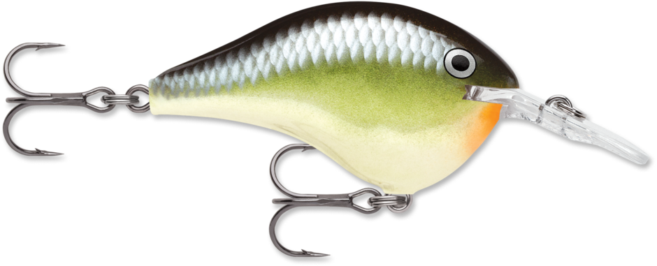 Rapala DT (Dives-To) Series | Outdoor Sporting Goods Store