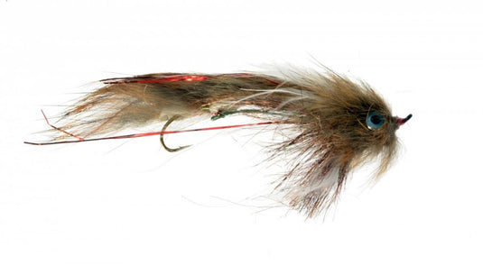 Catch Flies - Bjorn Mr. Creepo