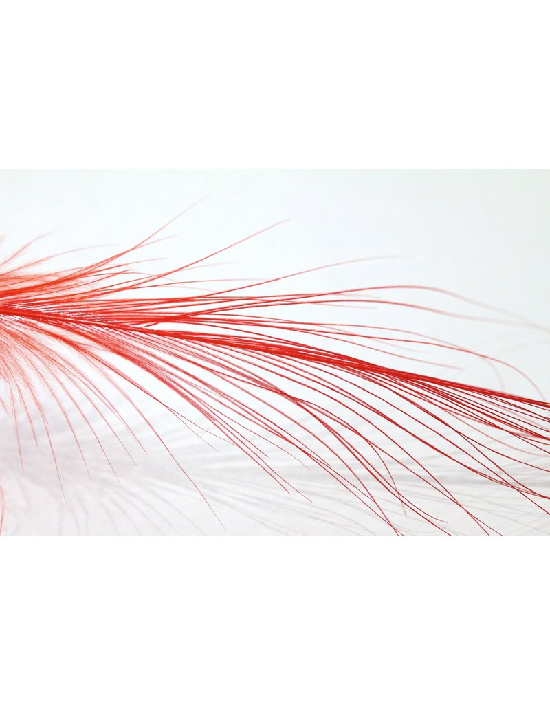 Gaspe Fly Co. - Plumes Spey XL/XXL