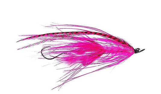 Catch Flies - Salmon & Steelhead Intruder Flies