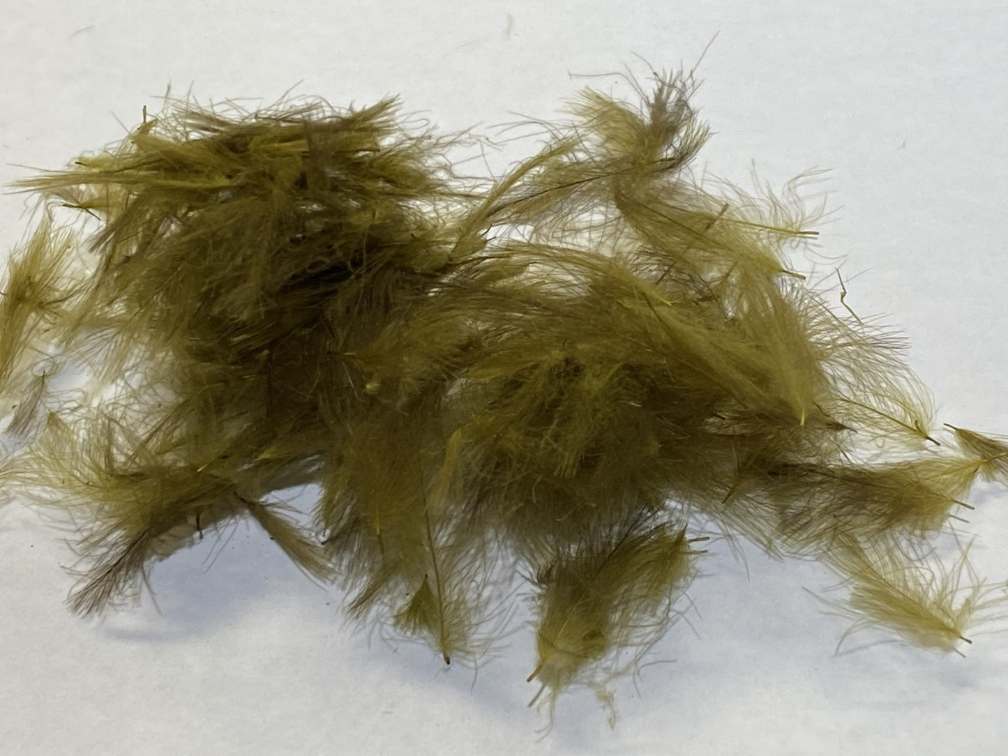 Shor Duck Oil Gland Feathers (CDC) [Shipping in Canada only]