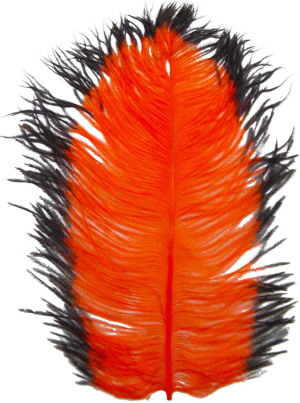 Spirit River Tip Dyed Ostrich